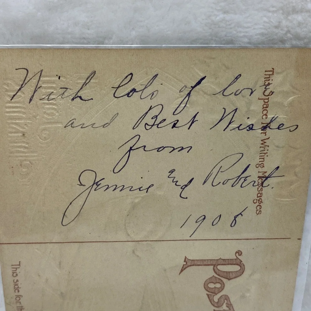 Antique 1908 Christmas Postcard‎ Two Birds In Protective Sleeve No Postmark